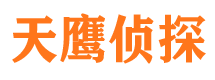 宾县市侦探